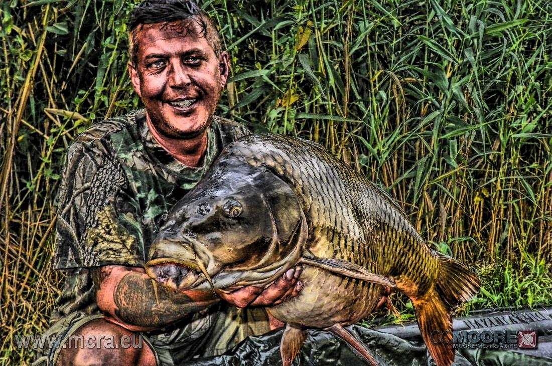 MeetCarp Romanian Awards 2013 (3) - 1030065hdrmode2-2.jpg